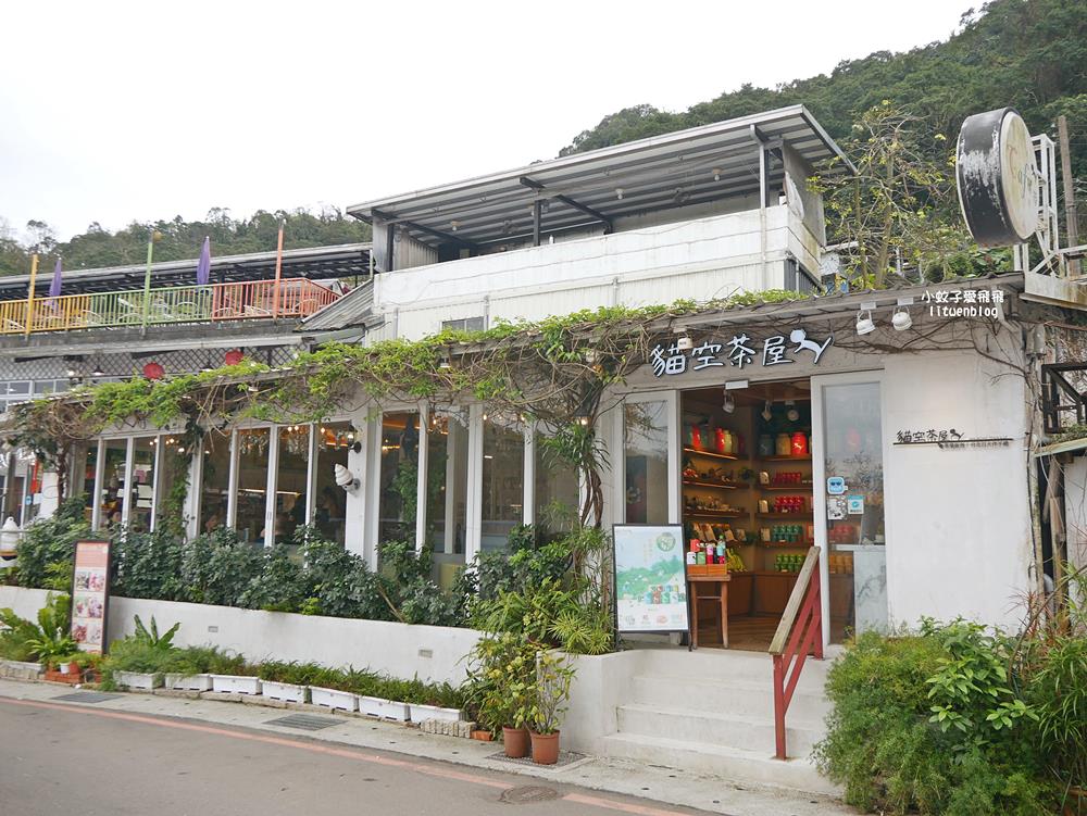 2026貓空魯冰花季開跑，花田金黃洋溢春意盎然