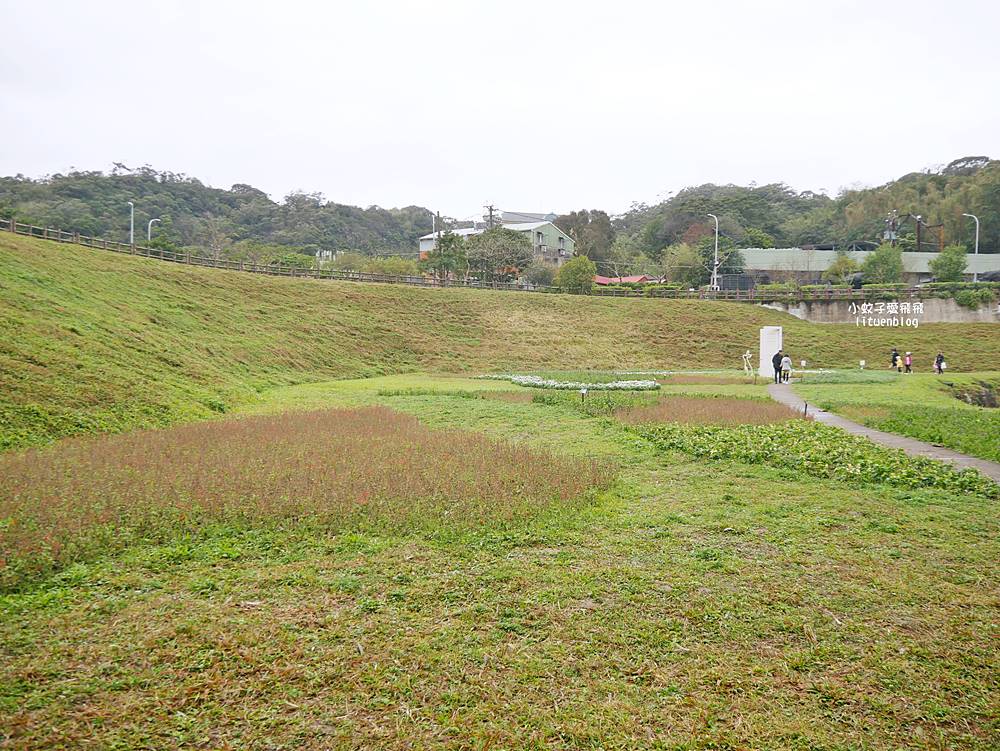 大溝溪生態治水園區&碧湖步道，隱藏版踏青後花園