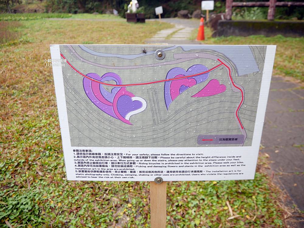 大溝溪生態治水園區&碧湖步道，隱藏版踏青後花園