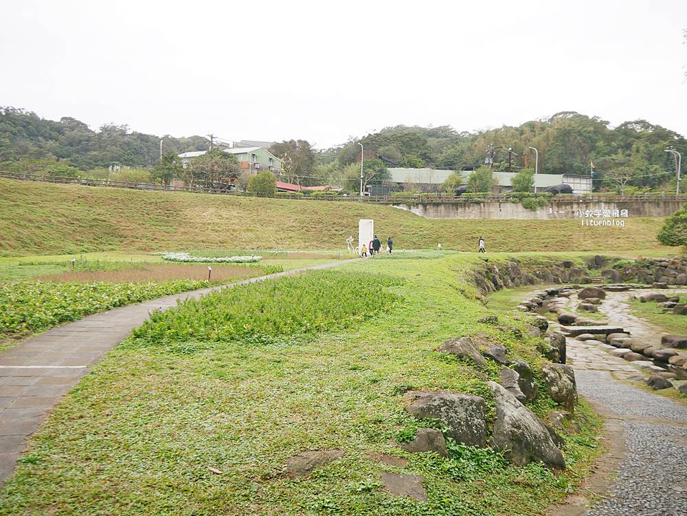 大溝溪生態治水園區&碧湖步道，隱藏版踏青後花園