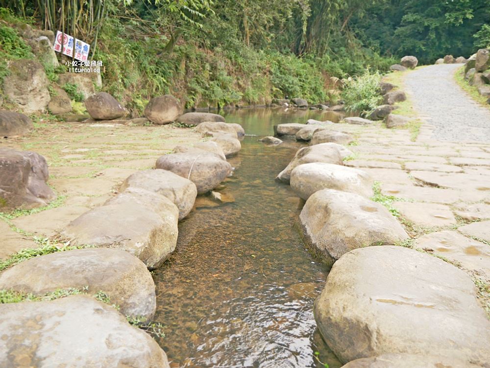 大溝溪生態治水園區&碧湖步道，隱藏版踏青後花園
