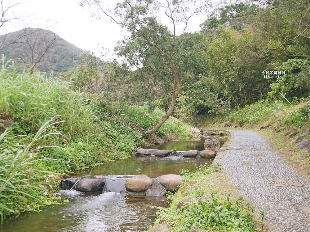 大溝溪生態治水園區&碧湖步道，隱藏版踏青後花園