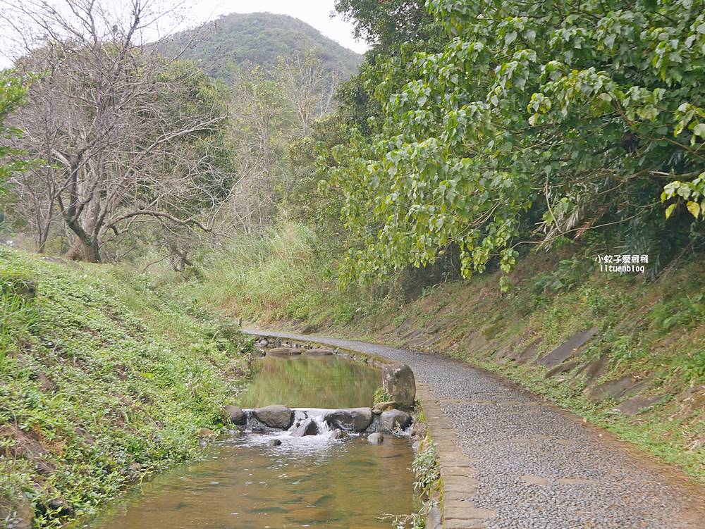 大溝溪生態治水園區&碧湖步道，隱藏版踏青後花園