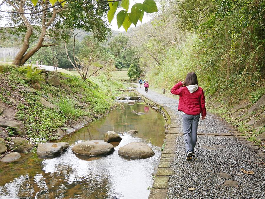 大溝溪生態治水園區&碧湖步道，隱藏版踏青後花園
