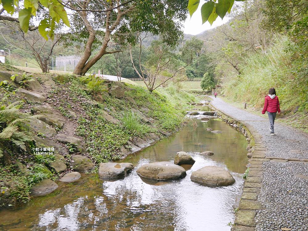 大溝溪生態治水園區&碧湖步道，隱藏版踏青後花園