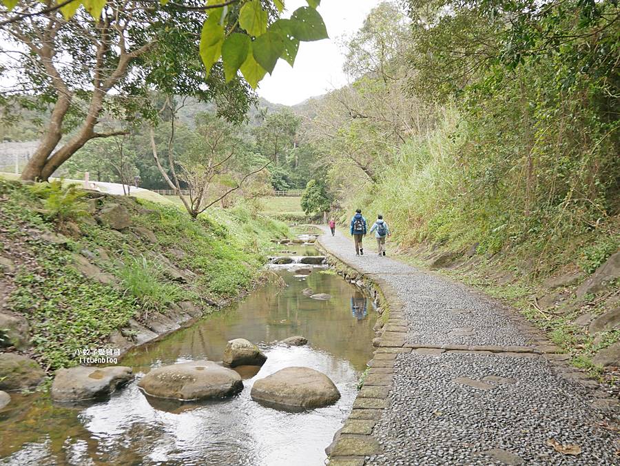 大溝溪生態治水園區&碧湖步道，隱藏版踏青後花園