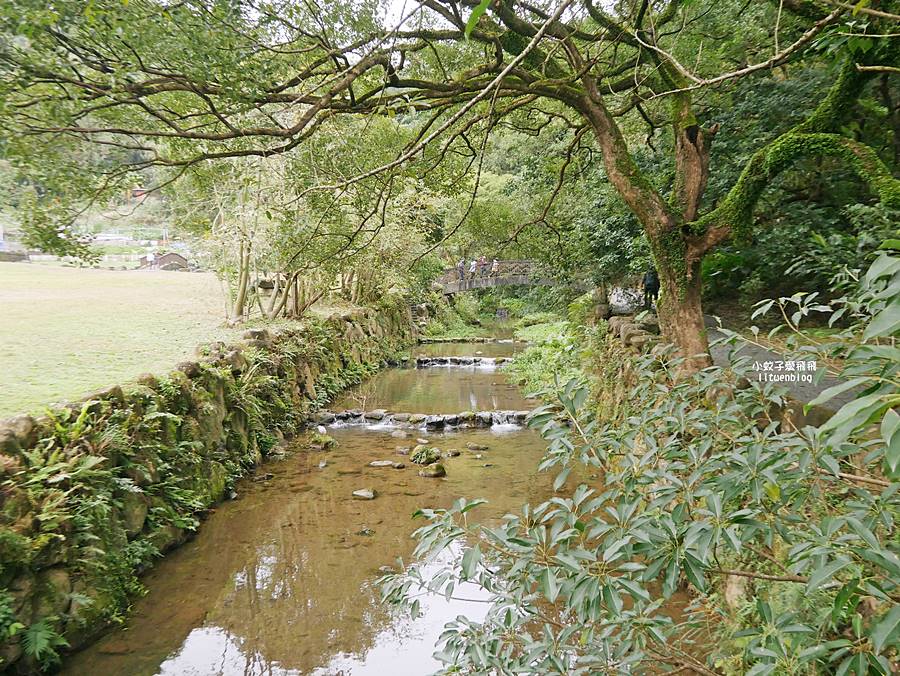 大溝溪生態治水園區&碧湖步道，隱藏版踏青後花園