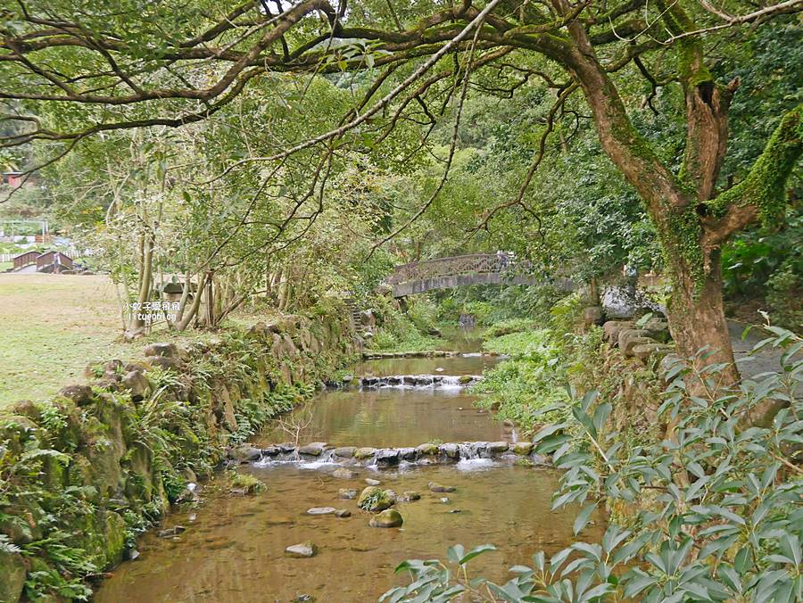 大溝溪生態治水園區&碧湖步道，隱藏版踏青後花園
