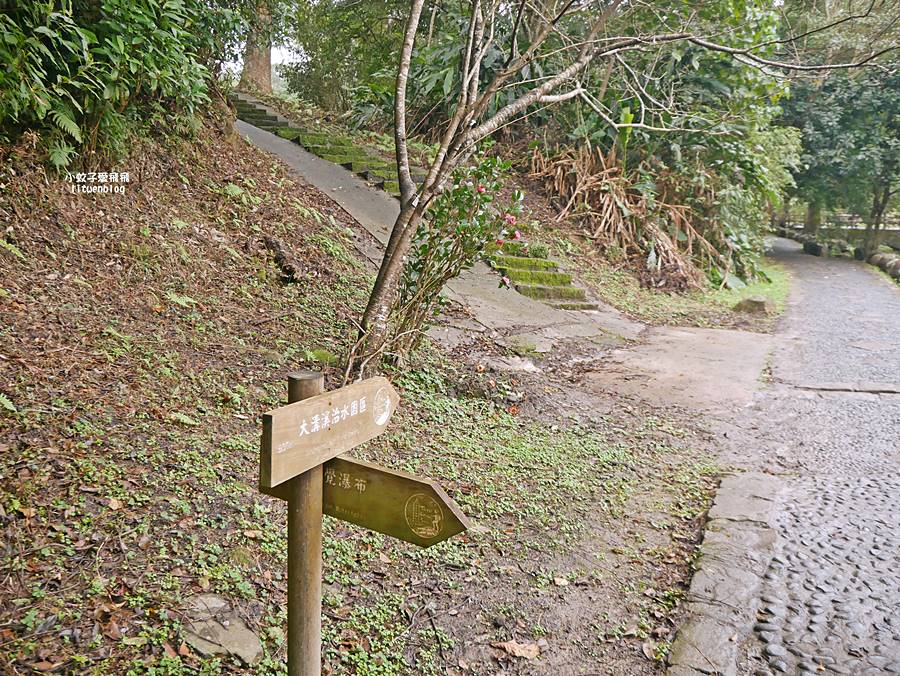 大溝溪生態治水園區&碧湖步道，隱藏版踏青後花園