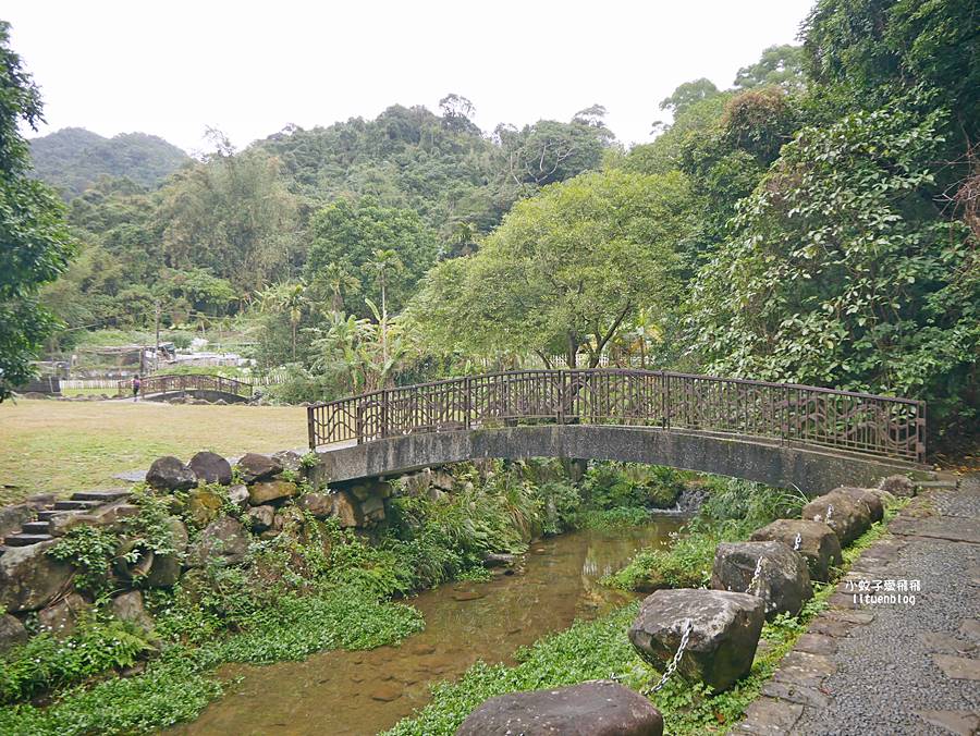 大溝溪生態治水園區&碧湖步道，隱藏版踏青後花園