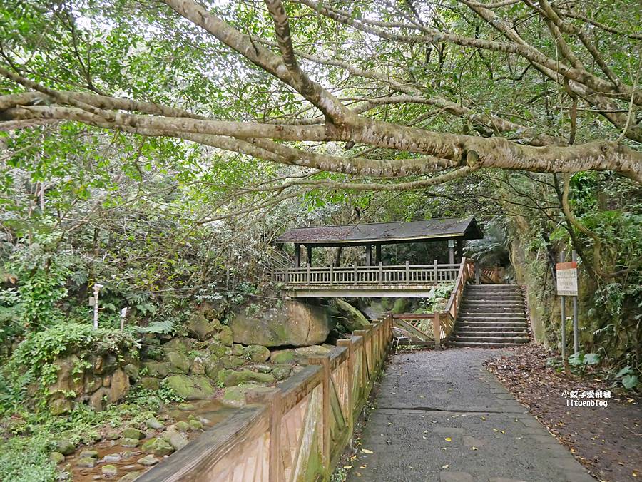 大溝溪生態治水園區&碧湖步道，隱藏版踏青後花園