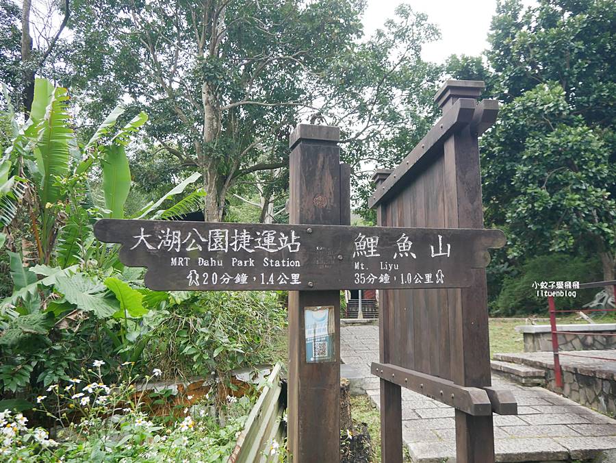 大溝溪生態治水園區&碧湖步道，隱藏版踏青後花園