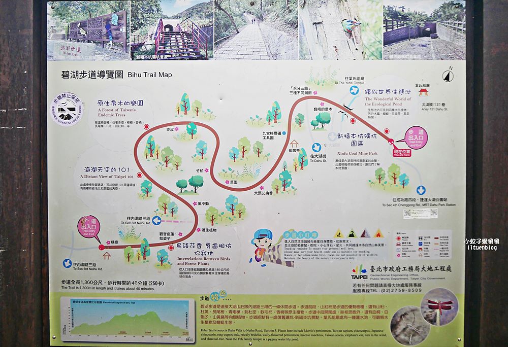 大溝溪生態治水園區&碧湖步道，隱藏版踏青後花園