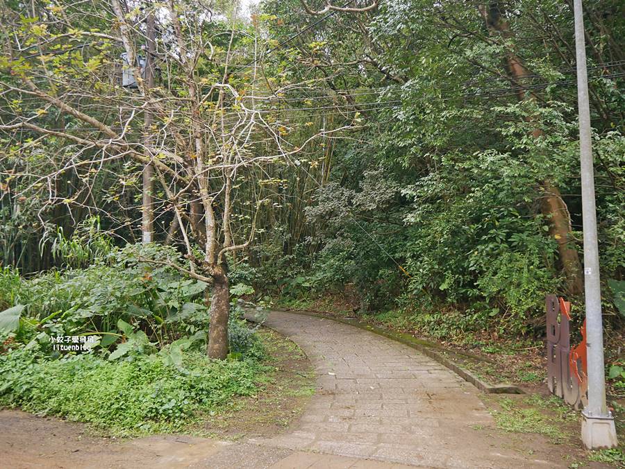 大溝溪生態治水園區&碧湖步道，隱藏版踏青後花園