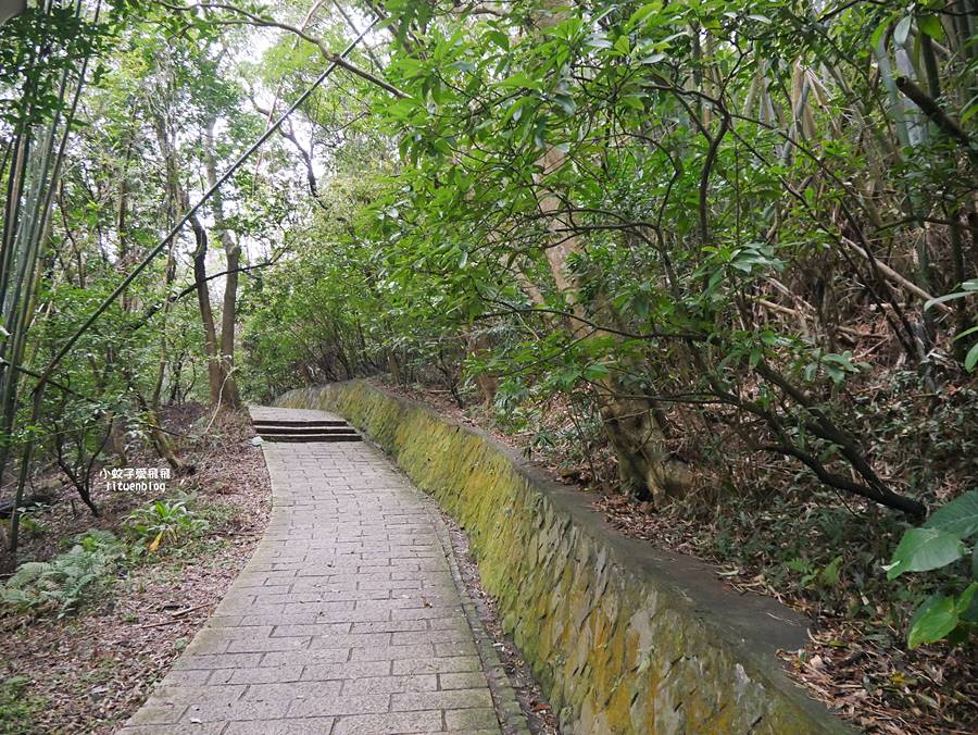 大溝溪生態治水園區&碧湖步道，隱藏版踏青後花園