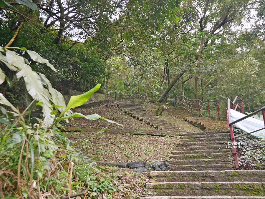 大溝溪生態治水園區&碧湖步道，隱藏版踏青後花園