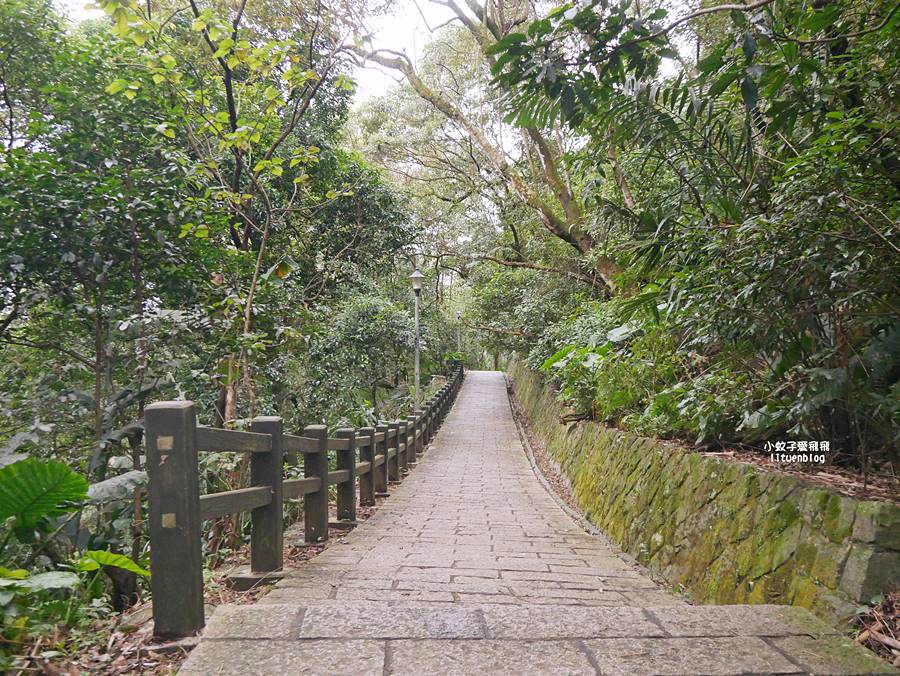 大溝溪生態治水園區&碧湖步道，隱藏版踏青後花園