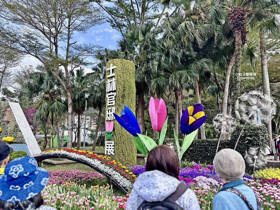 2026士林官邸鬱金香展，2/26花卉盛會浪漫滿園