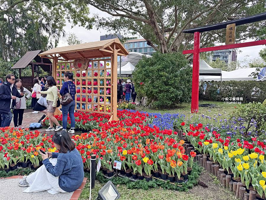 2026士林官邸鬱金香展，2/26花卉盛會浪漫滿園