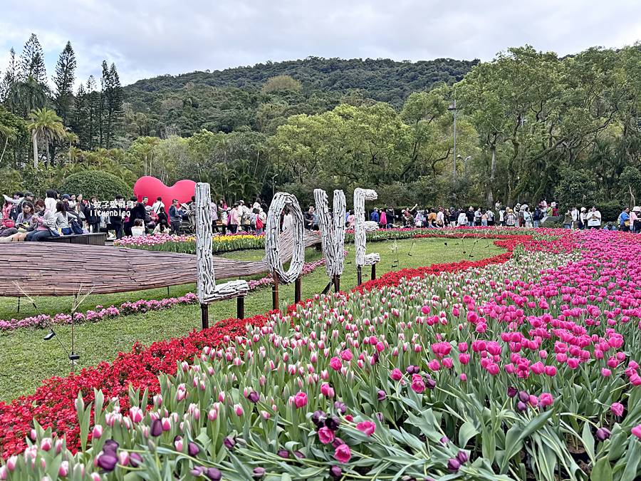 2026士林官邸鬱金香展，2/26花卉盛會浪漫滿園