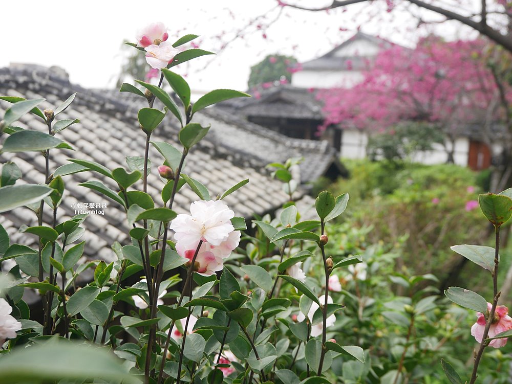 北投景點「北投文物館」曾是神風特攻隊招待所最高檔的溫泉旅館