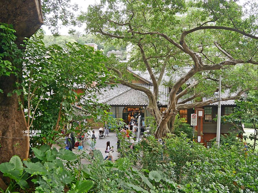 新北投一日遊｜出站即玩！北投景點、美食、溫泉全攻略，捷運交通懶人包