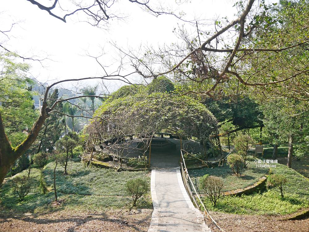 三峽景點「行修宮」莊嚴肅穆清幽，登山步道一覽遼闊全景