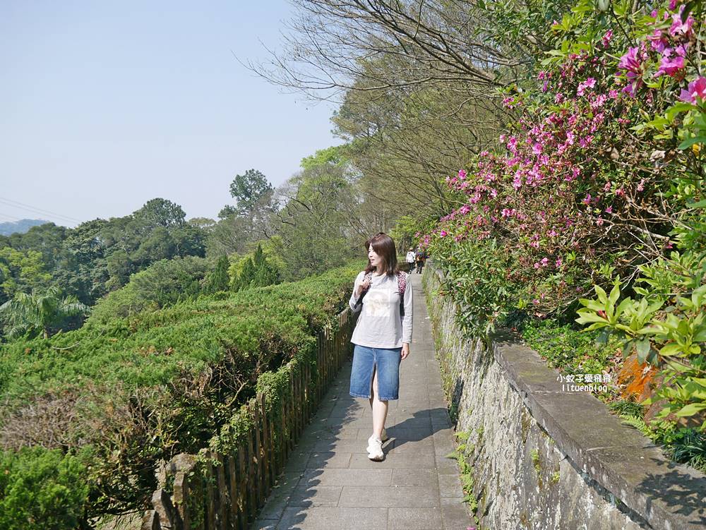 三峽景點「行修宮」莊嚴肅穆清幽，登山步道一覽遼闊全景