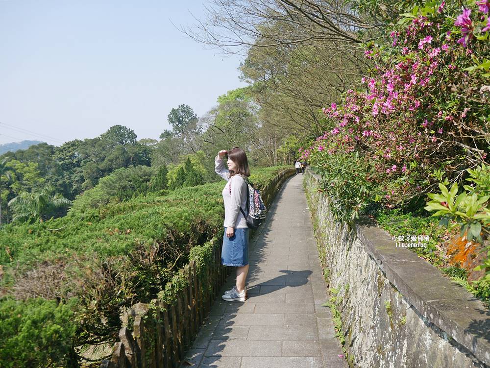 三峽景點「行修宮」莊嚴肅穆清幽，登山步道一覽遼闊全景