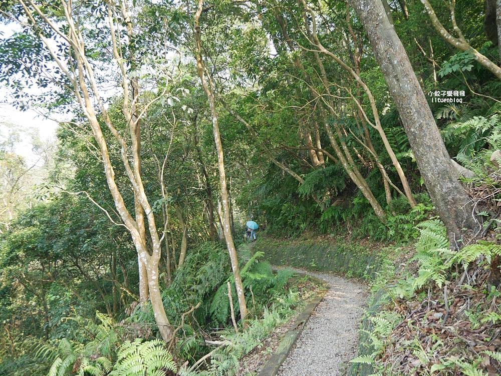 三峽景點「行修宮」莊嚴肅穆清幽，登山步道一覽遼闊全景