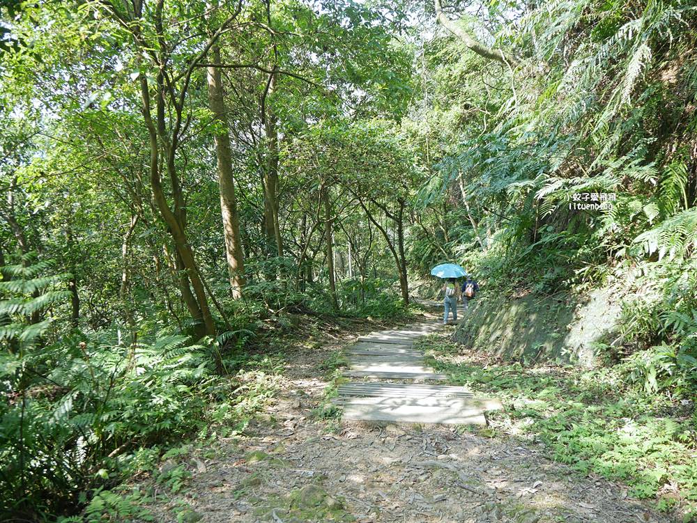 三峽景點「行修宮」莊嚴肅穆清幽，登山步道一覽遼闊全景