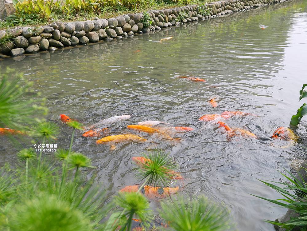 鶯歌景點「新北市美術館」文化地標&三鶯之心藝術特區參觀指南