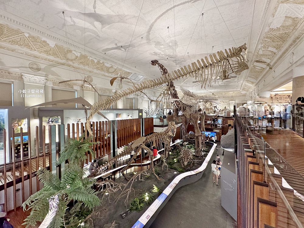 「國立臺灣博物館古生物館」踏入恐龍奇觀世界，門票30元一次逛兩館 @小蚊子愛飛飛 litwenblog