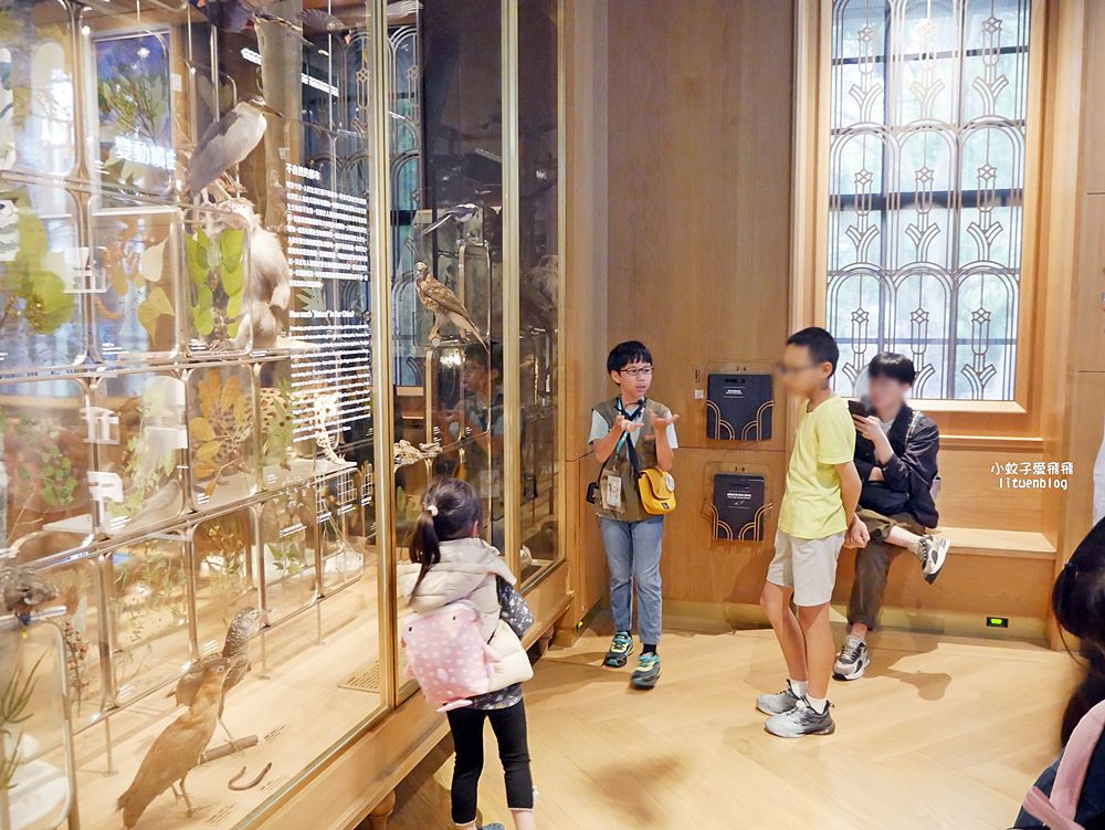 「國立臺灣博物館古生物館」踏入恐龍奇觀世界，門票30元一次逛兩館