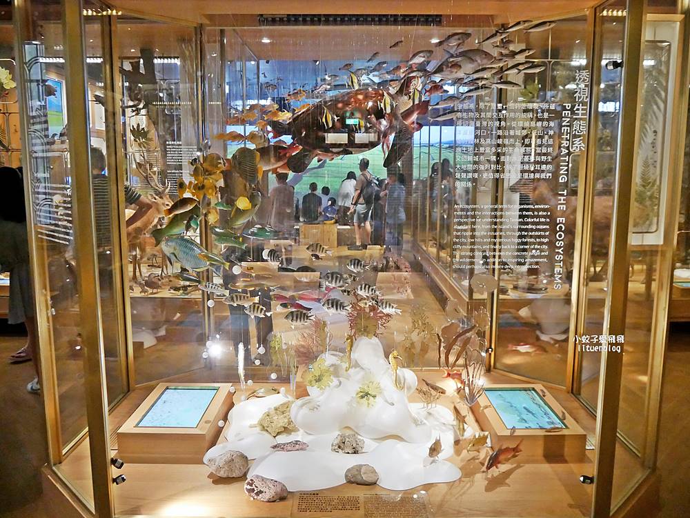 「國立臺灣博物館古生物館」踏入恐龍奇觀世界，門票30元一次逛兩館