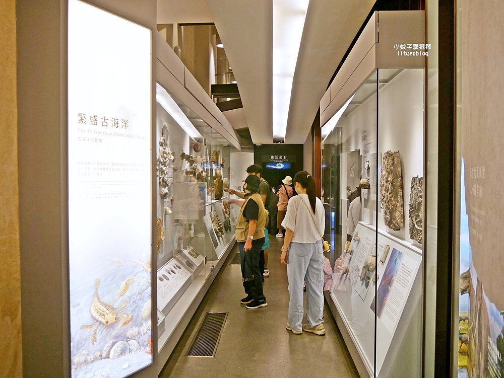 「國立臺灣博物館古生物館」踏入恐龍奇觀世界，門票30元一次逛兩館