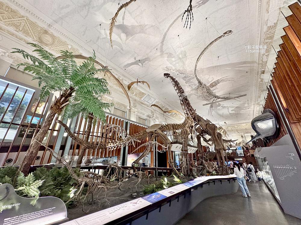 「國立臺灣博物館古生物館」踏入恐龍奇觀世界，門票30元一次逛兩館