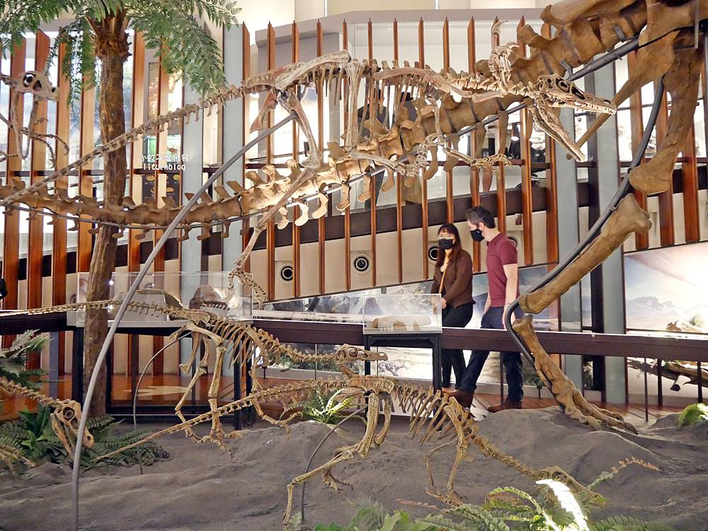 「國立臺灣博物館古生物館」踏入恐龍奇觀世界，門票30元一次逛兩館