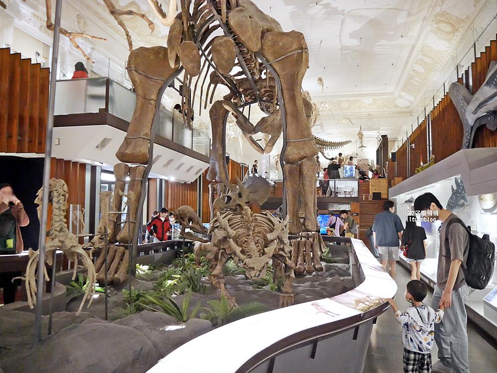 「國立臺灣博物館古生物館」踏入恐龍奇觀世界，門票30元一次逛兩館