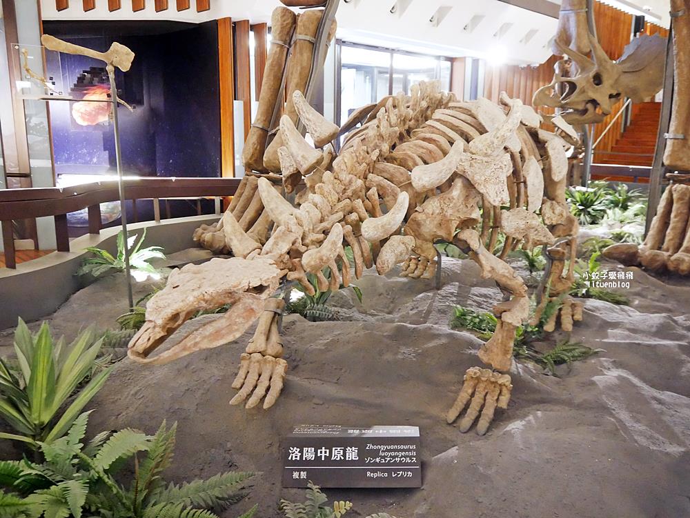 「國立臺灣博物館古生物館」踏入恐龍奇觀世界，門票30元一次逛兩館