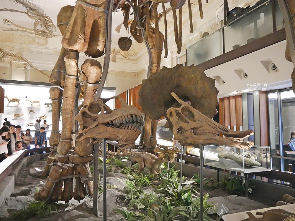 「國立臺灣博物館古生物館」踏入恐龍奇觀世界，門票30元一次逛兩館