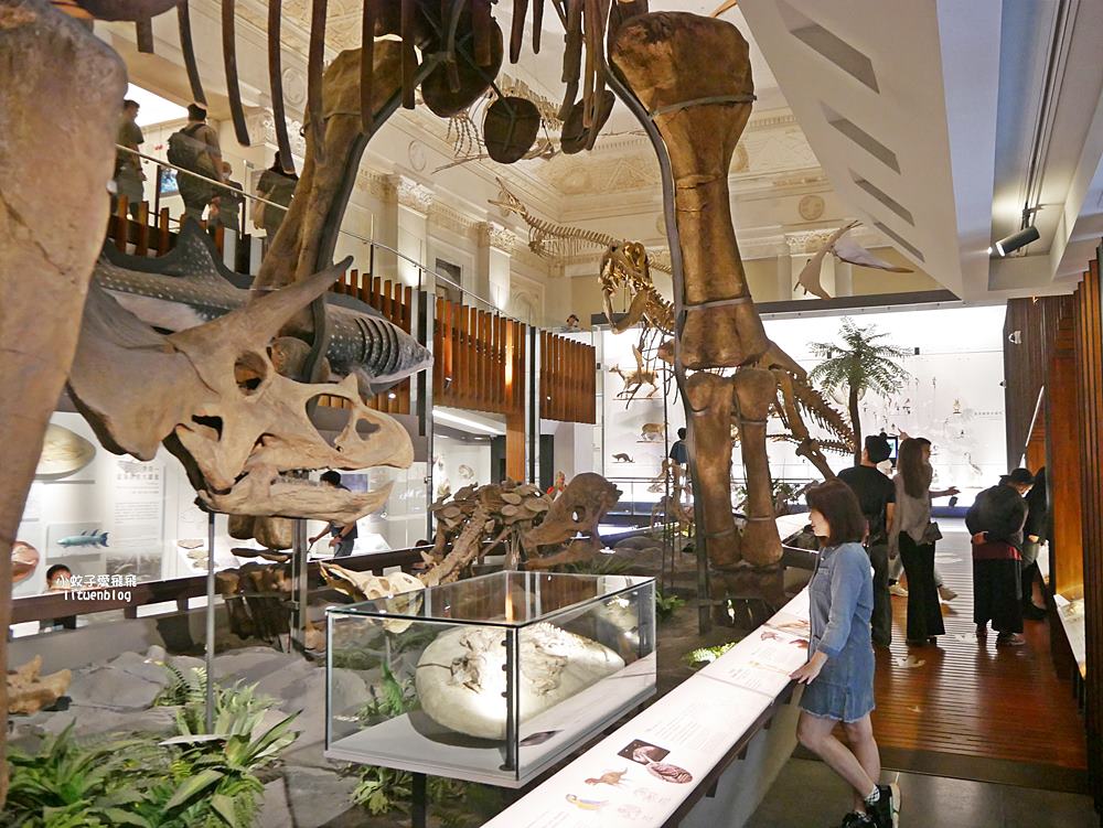 「國立臺灣博物館古生物館」踏入恐龍奇觀世界，門票30元一次逛兩館