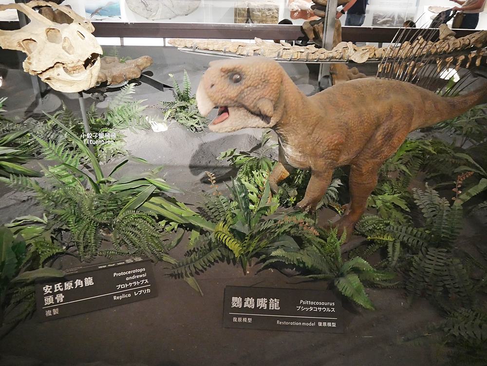 「國立臺灣博物館古生物館」踏入恐龍奇觀世界，門票30元一次逛兩館