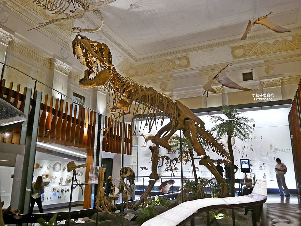 「國立臺灣博物館古生物館」踏入恐龍奇觀世界，門票30元一次逛兩館