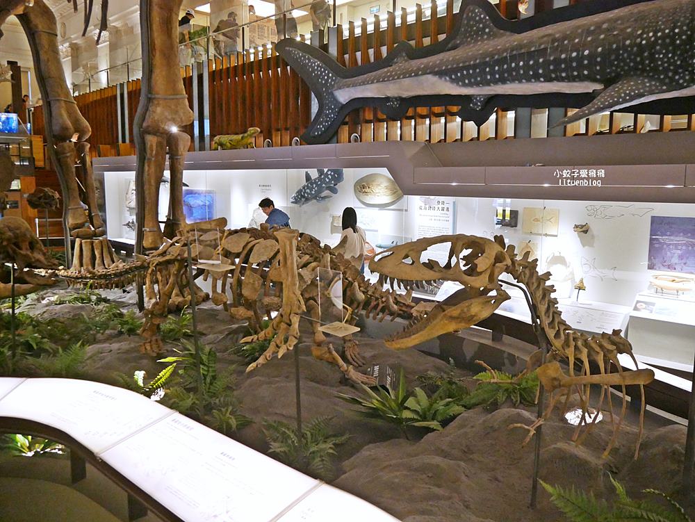 「國立臺灣博物館古生物館」踏入恐龍奇觀世界，門票30元一次逛兩館
