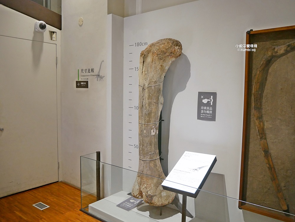 「國立臺灣博物館古生物館」踏入恐龍奇觀世界，門票30元一次逛兩館