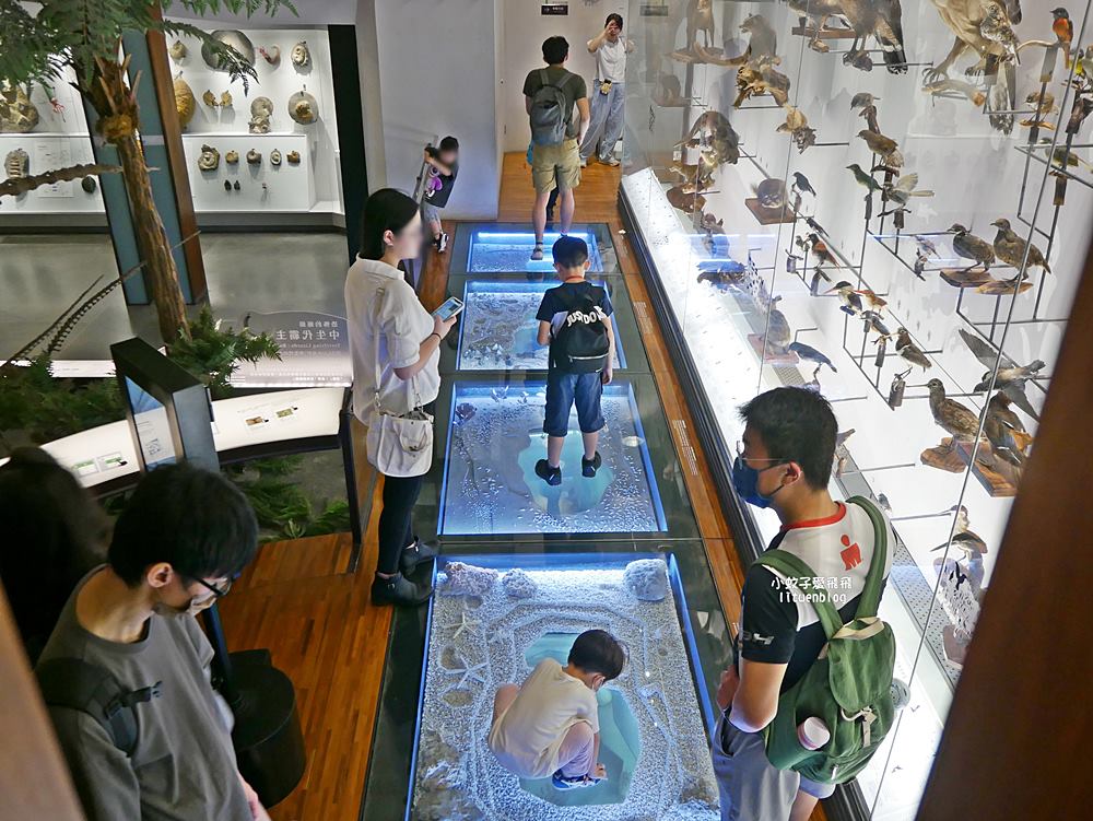 「國立臺灣博物館古生物館」踏入恐龍奇觀世界，門票30元一次逛兩館