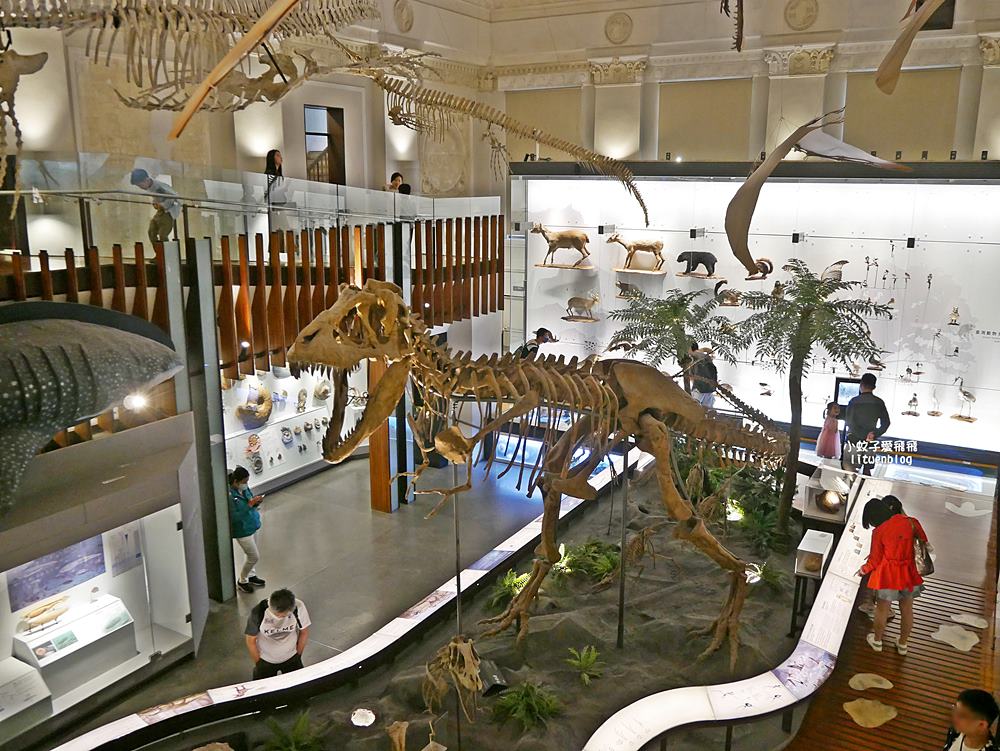 「國立臺灣博物館古生物館」踏入恐龍奇觀世界，門票30元一次逛兩館