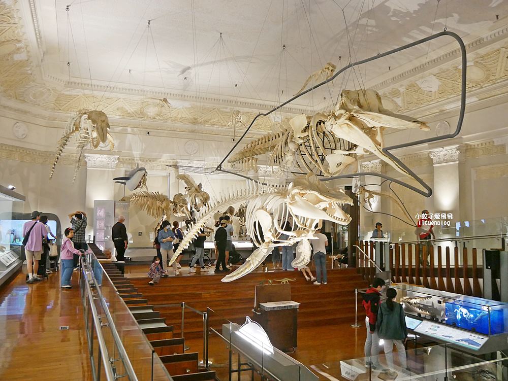 「國立臺灣博物館古生物館」踏入恐龍奇觀世界，門票30元一次逛兩館