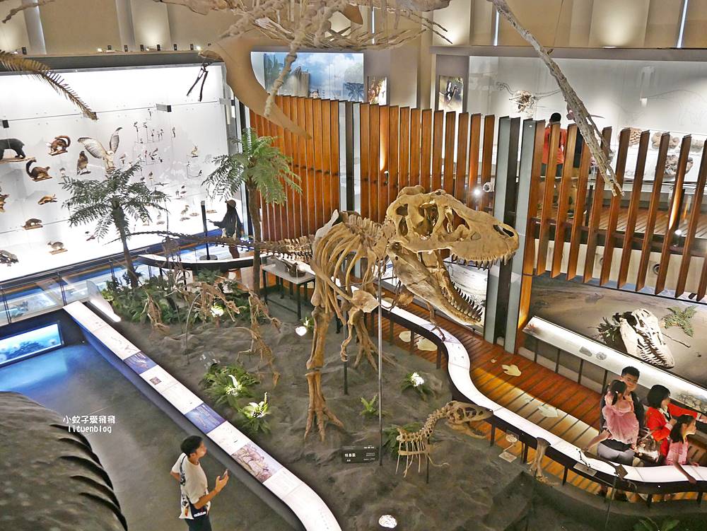 「國立臺灣博物館古生物館」踏入恐龍奇觀世界，門票30元一次逛兩館